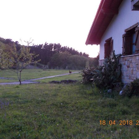 Casa Rural Miamendi Larrabetzu Exteriör bild