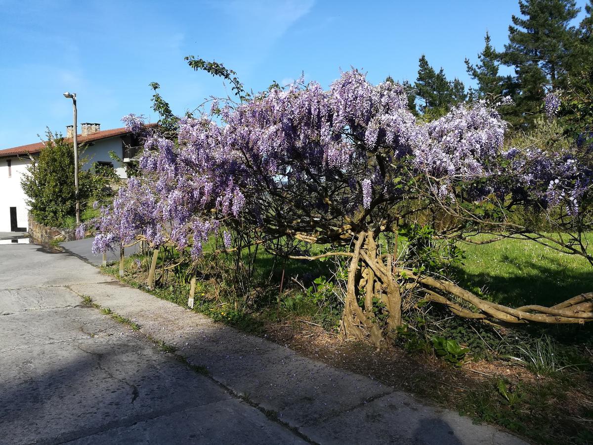 Casa Rural Miamendi Larrabetzu Exteriör bild